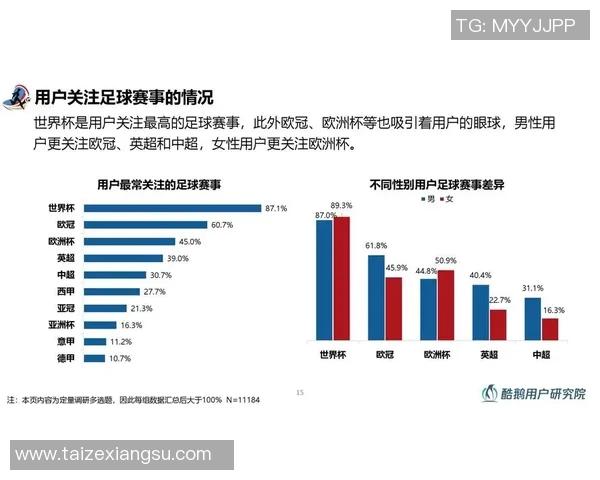 韩国人对足球明星的热爱与追捧背后的文化与情感分析