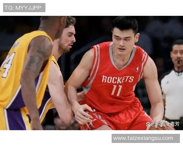 篮球明星边疆的传奇之路与梦想追逐的精彩瞬间