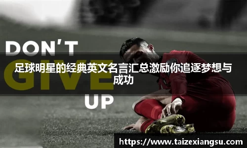 ac米兰体育