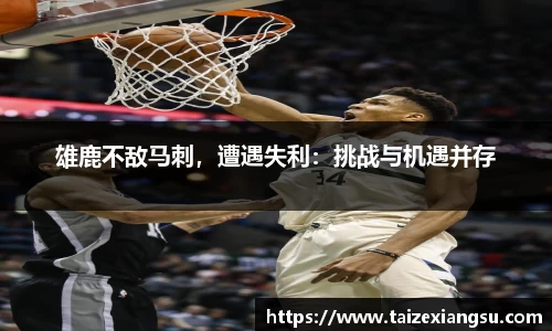 米兰体育官网